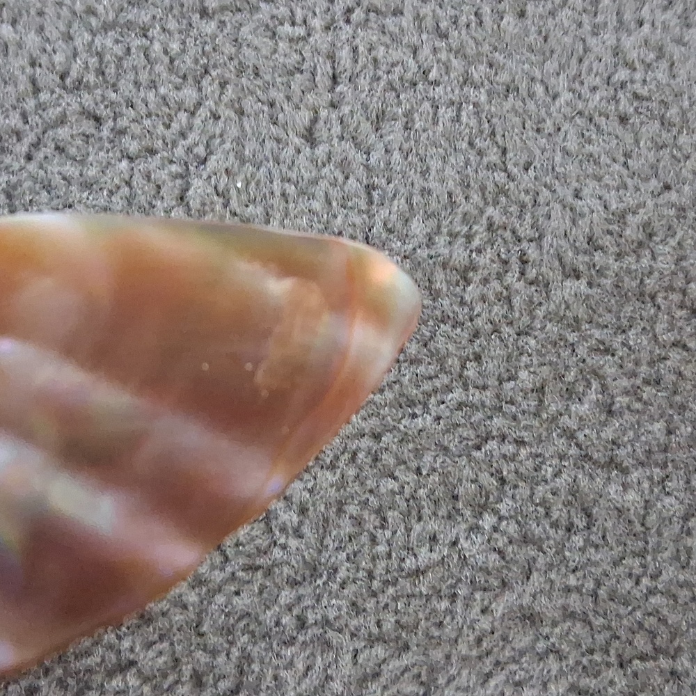J.Jill Abalony Like Piece And Glass Beads - Picture 6 of 6